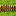 FENCE